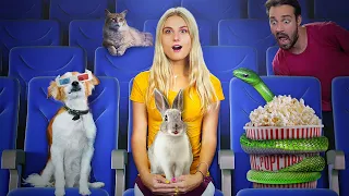 ¡13 Formas de Introducir Mascotas en el Cine!