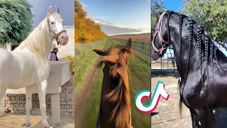 The Best HORSE NEW TikTok Compilation #6