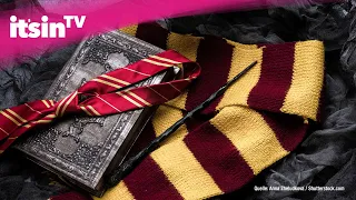 Wie in „Harry Potter“: Mit Hogwarts-Kursen zum Zauberer werden
