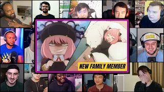 A NEW FAMILY MEMBER || Spy x Family Episode 15 || Reaction Mashup