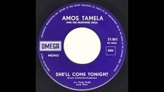 Amos Tamela and His Mustang Soul - She'll Come Tonight (Original 45 Dutch Freakbeat Soul)