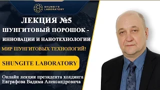 Лекция №5. Шунгитовый порошок - инновации и нанотехнологии