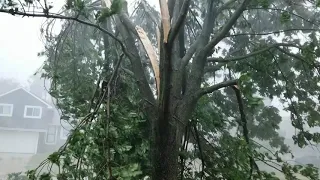 Derecho Storm (100+ mph wind) in Marion Iowa - Aug 10, 2020