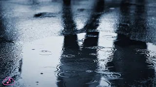 30 Minutes of RELAXING RAIN SOUNDS for STRESS RELIEF and SLEEPING