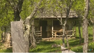 Muzeu al satului natural, în satul Odăi (@Exclusiv în România)