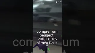 comprei  um peugeot 206 1.6 16v, e agora ?