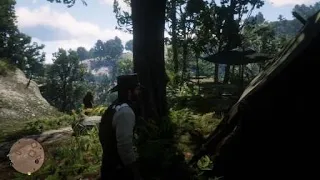 Red Dead Redemption 2 Gta 5 reference