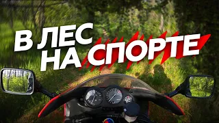 Мотобудни.  В лесу на Yamaha YZF