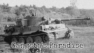 Tiger 1 edit || Gangsta's Paradise