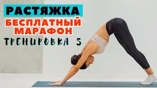 БЕСПЛАТНЫЙ МАРАФОН ПО РАСТЯЖКЕ / ТРЕНИРОВКА 5