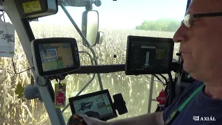 CLAAS LEXION 7700 Kukorica aratás VLOG