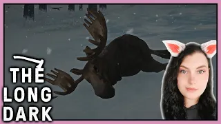 Moose - The Long Dark (Survival Mode Voyager)