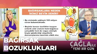 Vücudumuzun İkinci Beyni Bağırsağın Önemi - Çağla İle Yeni Bir Gün 601. Bölüm