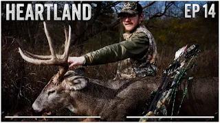 Public Land Stud Down In Iowa, Bow Hunting The Late Rut #hunting #deerhunting