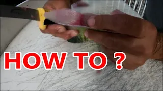 HOW TO SKIN MAHI MAHI THE EASY WAY (AND GET RID OF THE BLOOD LINE )