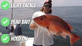 Using LIGHT TACKLE For BIGGER SNAPPER