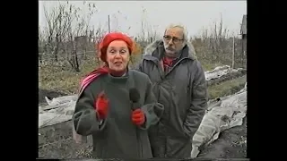 Виноградник Романа Фурмана (1999г)