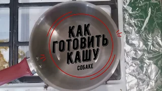 Сколько варить и Как приготовить овсяную кашу с мясом для собаки.