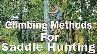 Climbing Methods for Saddle Hunting