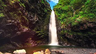 Dolby demo: Haleakalā • 4K ᴮˡᵘ⁻ʳᵃʸ ʳᵉᵐᵘˣ, 𝗗𝗼𝗹𝗯𝘆 𝗩𝗶𝘀𝗶𝗼𝗻, 𝗗𝗼𝗹𝗯𝘆 𝗔𝘁𝗺𝗼𝘀