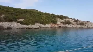 Akvaryum koyu - Bodrum