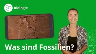 Fossilien: Das musst du wissen – Biologie | Duden Learnattack