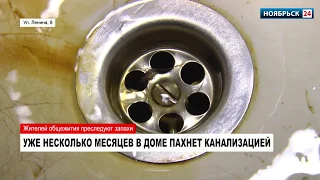 В Ноябрьске жители общежития жалуются на сильный запах канализации