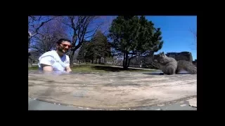 Picnic interrupted by a squirrel (squirrel steals GoPro Session)