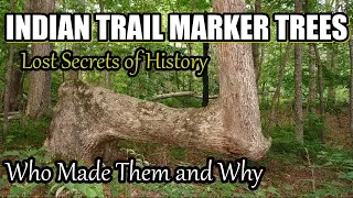 Indian Trail Marker Trees, Lost Secrets of History.