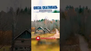 Александр Закшевский - Слеза скатилась #александрзакшевский #деревня @zakshevskiy