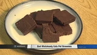 Dad Mistakenly Eats Pot Brownies
