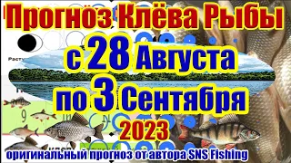 Прогноз клева рыбы на неделю с 28 Августа по 3 Сентября Календарь клева рыбы Лунный календарь рыбака