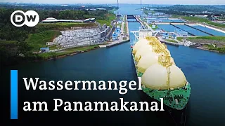 Panama: Waldschutz gegen Wassermangel | Global Ideas