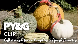 Differences between Pumpkins and Squash & Favorites |  Prairie Yard & Garden