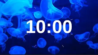 10 Minute Timer Relaxing Music Lofi Jellyfish Underwater Background