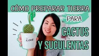 COMO PREPARAR TIERRA PARA CACTUS Y SUCULENTAS - FÁCIL Y RÁPIDO