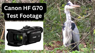 Canon HF G70 -Test Footage 4K