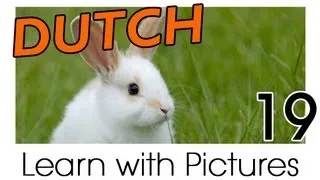 Learn Dutch Vocabulary with Pictures - Farm Animals