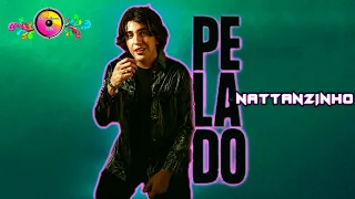 PELADO - Nattanzinho | Ao Vivo