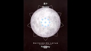 Susumu Hirasawa - SWITCHED-ON LOTUS (LYRICS)