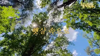 산책 할래요? | 햇살속으로 힐링음악 | 휴식음악 스트레스 해소음악 | #HealingMusic | Relaxing | 쉼이 필요할 때