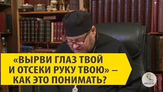 КАК ПОНИМАТЬ: "ВЫРВИ ГЛАЗ ТВОЙ И ОТСЕКИ РУКУ ТВОЮ" ? Мф 5:28-29 Священник Олег Стеняев