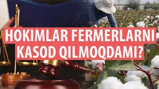 Fermer: "Hokim yerlarni fermerlardan tortib olib, qarindoshlariga berdi"