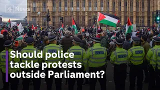 Will police tackling protests outside Parliament keep MPs safe?