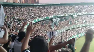 Coritiba 3 X 2 Fluminense. ...pós jogo....dá lhe coxaaaaa