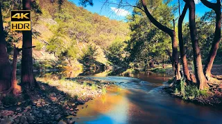 Afternoon reflections on the Turon River | 4K HDR 60fps binaural audio, no loop