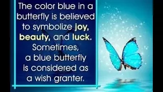 What's the Meaning of a Blue Butterfly And What Does it Signify