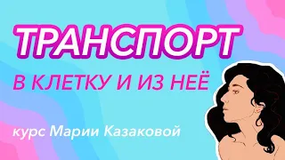 Урок "Транспорт в клетку" — ЦТ, ЕГЭ, ЗНО