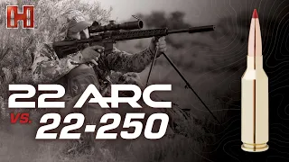 22 ARC vs  22-250