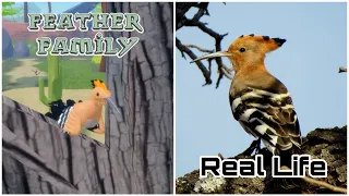 Feather Family In Real Life 3